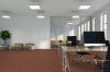Picture of Pentz - Techtonic Registry