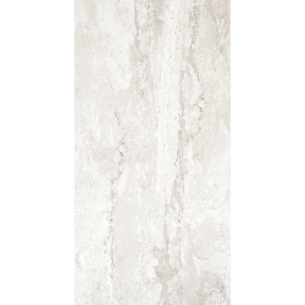 Picture of Tesoro - Tivolazio 12 x 24 Silver Matte