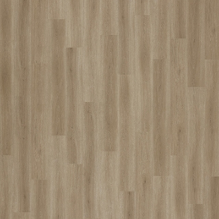 Picture of Palmetto Road - Inspire Skate