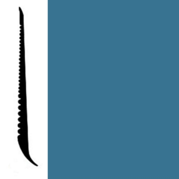 Picture of Johnsonite - Tightlock Wallbase for Resilient 6 3/8 Dream Teal