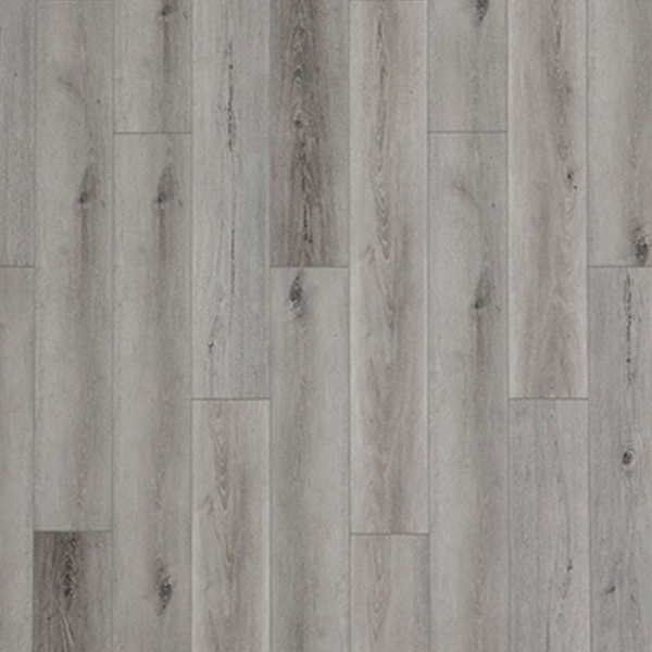 Picture of Palmetto Road - Impact Sea Grove