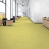 Picture of Patcraft - Cmyk Lotus-V2