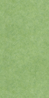 Picture of Patcraft - Cmyk Meadow-V2