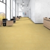 Picture of Patcraft - Cmyk Sungold-V2