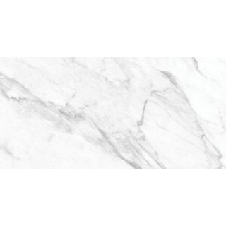 Picture of Tesoro - La Marca 24 x 48 Matte Statuarietto