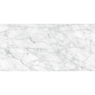 Picture of Tesoro - La Marca 24 x 48 Matte Carrara Gioia