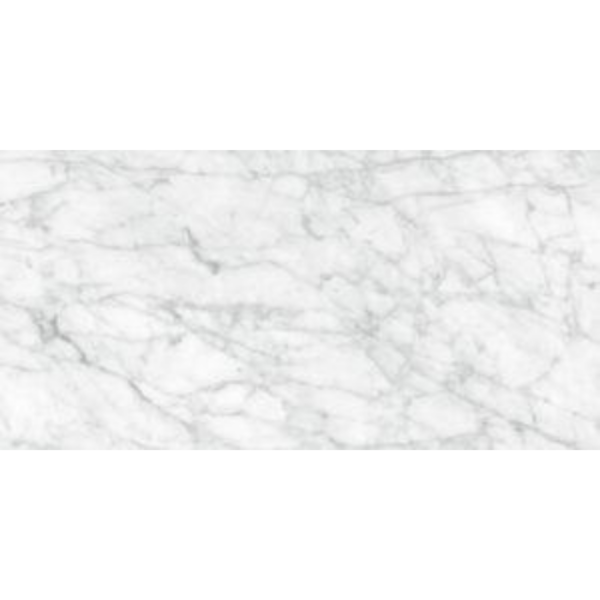 Picture of Tesoro - La Marca 24 x 48 Matte Carrara Gioia