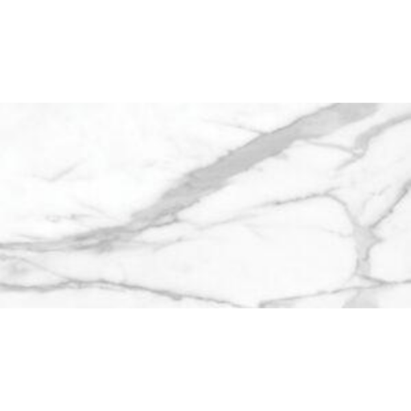 Picture of Tesoro - La Marca 12 x 24 Matte Statuario Nuovo