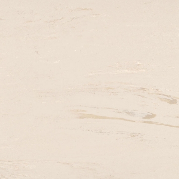 Picture of Johnsonite - Organics 24 x 24 Calcite