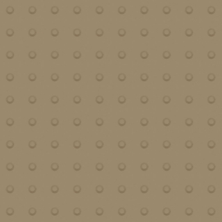 Picture of Johnsonite - Tactile Warning Tile Domes Tannery