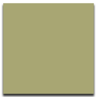 Picture of Johnsonite - Solid Colors Smooth 12 x 12 Iguana