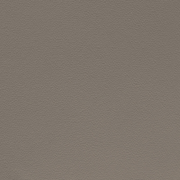 Picture of Johnsonite - Solid Colors Hammered Moon Rock