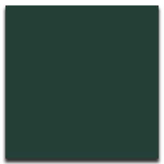 Picture of Johnsonite - Solid Colors Smooth 12 x 12 Hunter Green