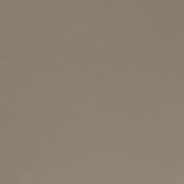 Picture of Johnsonite - Solid Colors Hammered Grizzly