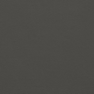 Picture of Johnsonite - Solid Colors Leather Charcoal