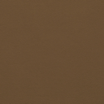 Picture of Johnsonite - Solid Colors Leather Seaweed