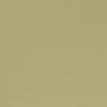 Picture of Johnsonite - Solid Colors Hammered Iguana