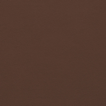 Picture of Johnsonite - Solid Colors Leather Cinnamon