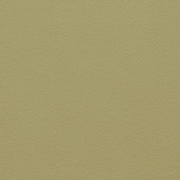 Picture of Johnsonite - Solid Colors Leather Iguana