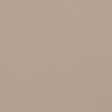 Picture of Johnsonite - Solid Colors Leather Beige