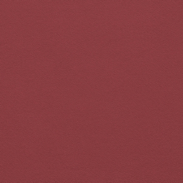 Picture of Johnsonite - Solid Colors Leather Flame