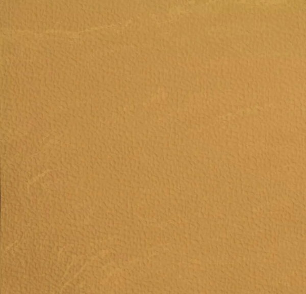 Picture of Johnsonite - Mesto Configurations 12 x 24 Golden Slumber Dark