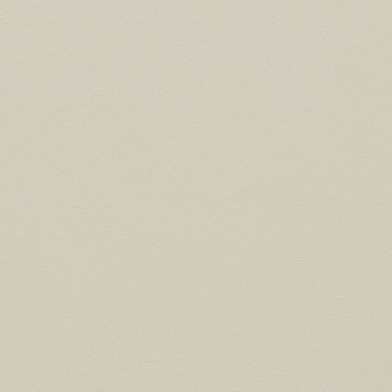 Picture of Johnsonite - Solid Colors Leather Grey Haze