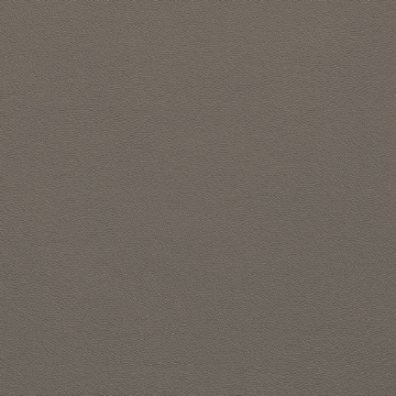 Picture of Johnsonite - Solid Colors Leather Moon Rock