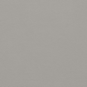 Picture of Johnsonite - Solid Colors Leather Silver Grey