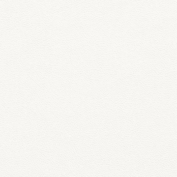 Picture of Johnsonite - Solid Colors Leather Icicle