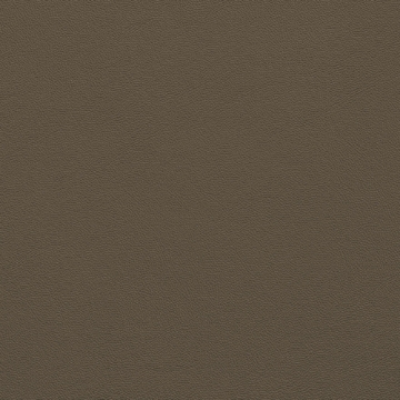 Picture of Johnsonite - Solid Colors Leather Grounded