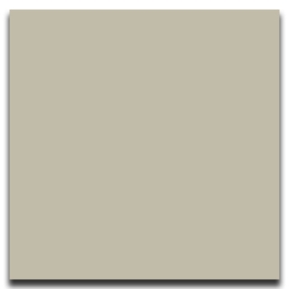 Picture of Johnsonite - Solid Colors Smooth 12 x 12 Castaway
