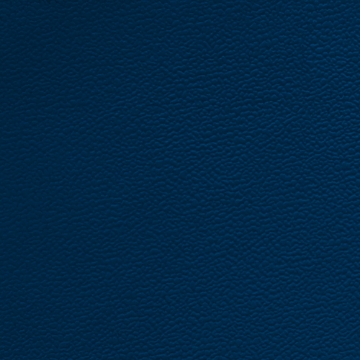 Picture of Johnsonite - Solid Colors Forged Navy Blue