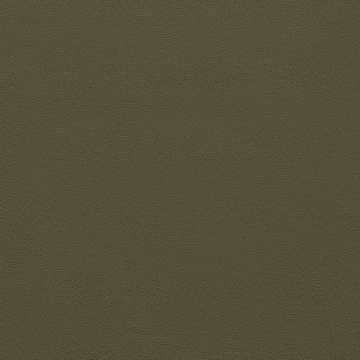 Picture of Johnsonite - Solid Colors Leather Boxwood