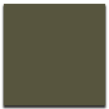 Picture of Johnsonite - Solid Colors Smooth 12 x 12 Boxwood