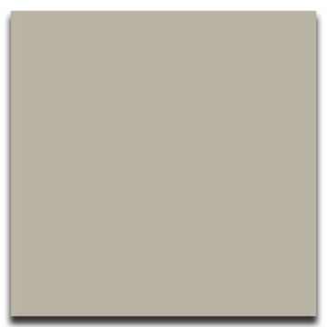 Picture of Johnsonite - Solid Colors Smooth 24 x 24 Macadamia