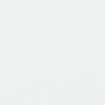 Picture of Johnsonite - Solid Colors Leather White