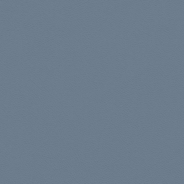 Picture of Johnsonite - Solid Colors Leather The Blues