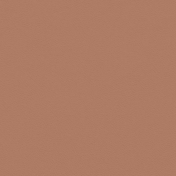 Picture of Johnsonite - Solid Colors Leather Red Clay