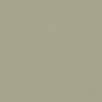 Picture of Johnsonite - Solid Colors Leather Gecko