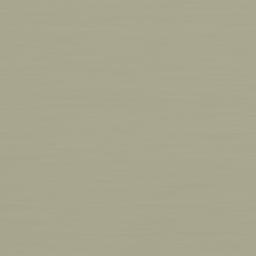 Picture of Johnsonite - Solid Colors Brushed Gecko