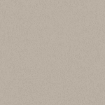 Picture of Johnsonite - Solid Colors Leather Harvest Time