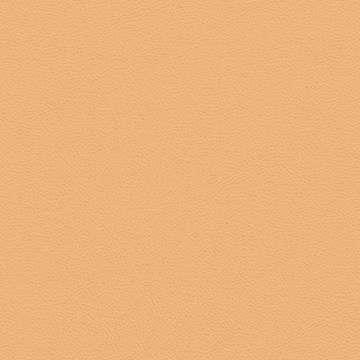 Picture of Johnsonite - Solid Colors Leather Mr Sunshine