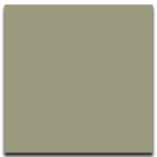 Picture of Johnsonite - Solid Colors Smooth 12 x 12 Gecko