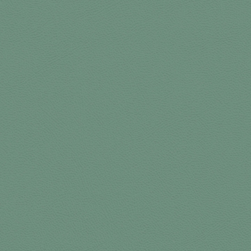 Picture of Johnsonite - Solid Colors Leather Grinch