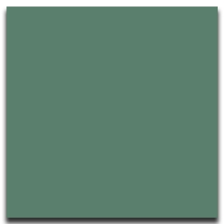 Picture of Johnsonite - Solid Colors Smooth 24 x 24 Grinch