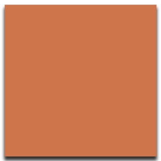 Picture of Johnsonite - Solid Colors Smooth 24 x 24 Hot Spice