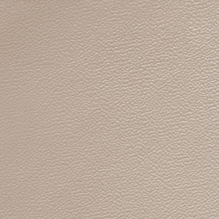 Picture of Johnsonite - Solid Colors Forged Beige