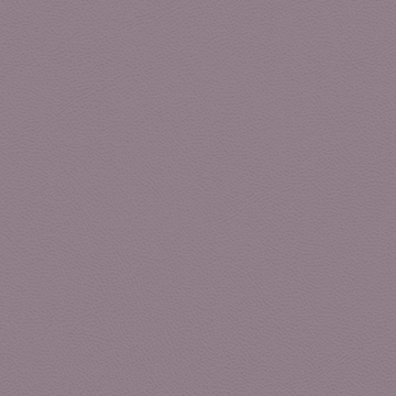 Picture of Johnsonite - Solid Colors Leather Shoreline Purple