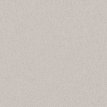 Picture of Johnsonite - Solid Colors Leather Whispering Mist